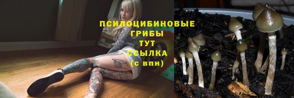 первитин Дмитровск