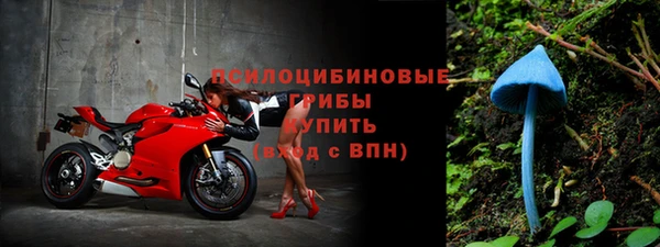 первитин Дмитров